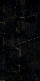 黑金花 金龙黑高清瓷砖设计