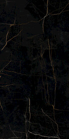 黑金花 金龙黑高清瓷砖设计