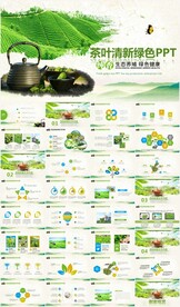 绿色茶叶茶文化春茶PPT模板
