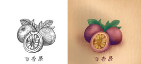 手绘百香果