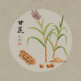 手绘甘蔗