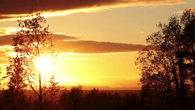 傍晚的自然景光景色