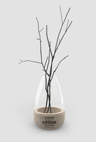 文艺木艺工艺玻璃瓶样机