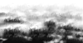 茫茫林海黑森林装饰画