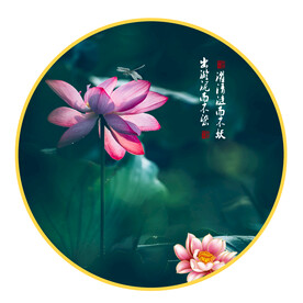圆形挂画 荷花