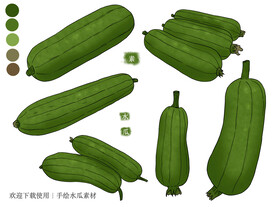 水瓜手绘素材