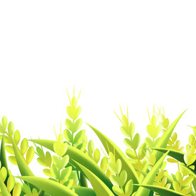 金色麦子小满元素