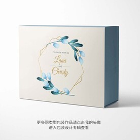 精品包装盒设计平面图