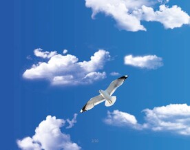 蓝天白云
