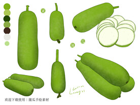 蒲瓜手绘素材