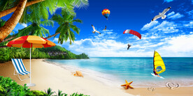 阳光海岸椰子树