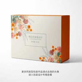精品包装盒设计平面图