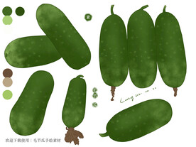 毛节瓜手绘素材