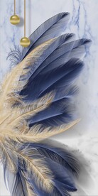 羽毛装饰画