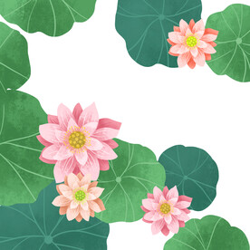 插画装饰荷花荷叶元素