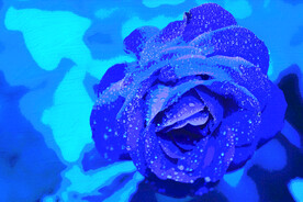 客厅装饰油画蓝色月季花