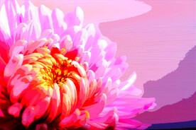 客厅装饰油画牡丹荣华富贵