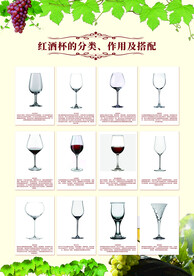 葡萄酒酒杯 红酒杯 酒杯种类 