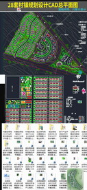 美丽乡村村镇规划改造CAD平面
