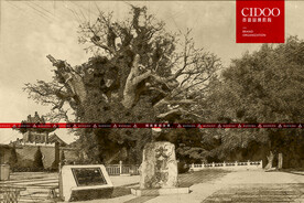 洪洞大槐树寻根祭祖园