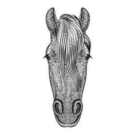 马矢量手绘插画