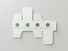 包装盒展开效果图样机