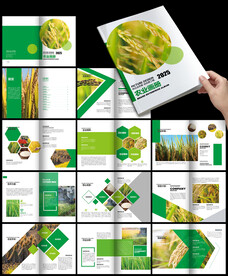 现代农业农产品生态农业宣传册