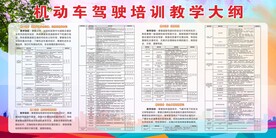 机动车驾驶培训教学大纲