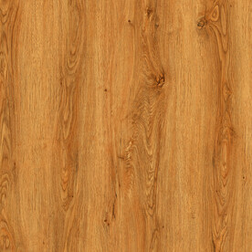 大气 实木新款木纹 文件合层 