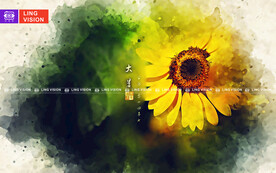 二十四节气大暑