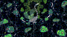 水鸟鹳种族图案壁画动态背景视频