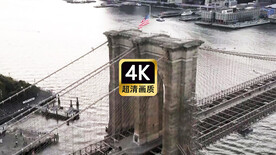 航拍跨海大桥上行驶车辆