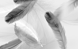 高档 现代无框新画 文件分层 