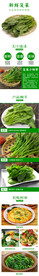 新鲜菠菜详情页面设计装修图