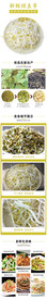新鲜绿豆芽详情页面装修设计图