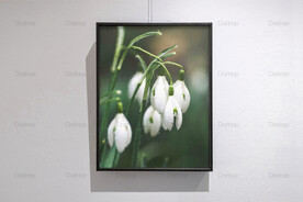 6090厘米装饰油画素材可印刷