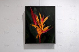 6090厘米装饰油画素材可印刷