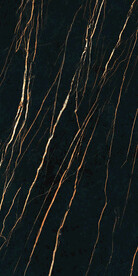 黑金花 金龙黑高清瓷砖设计