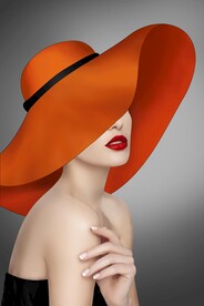 爱马仕美女装饰画