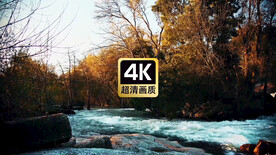 唯美风景森林流淌着清澈的河流