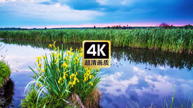 唯美风景河流鲜花上空云彩