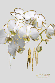 装饰画 晶瓷画 牡丹花