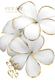 装饰画 晶瓷画 兰花