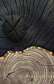 装饰画 晶瓷画 新中式