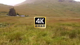 旅拍素材草原上吃草的麋鹿