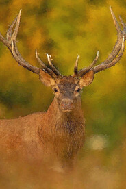 60X90客厅装饰画油画素材