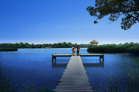 高清湿地公园分层PSD效果图