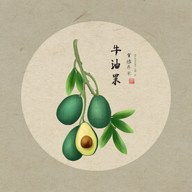 手绘牛油果