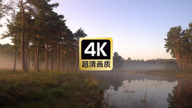 短视频素材河畔薄雾森林