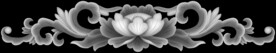洋花灰度图